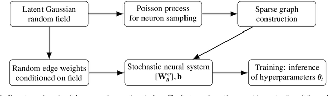 Figure 1 for Supervised Learning of Random Neural Architectures Structured by Latent Random Fields on Compact Boundaryless Multiply-Connected Manifolds