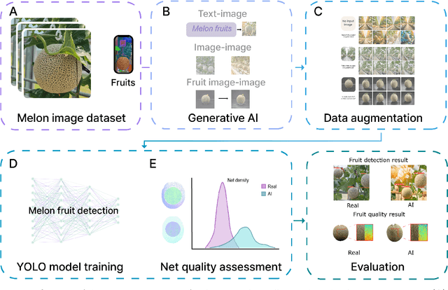 Figure 1 for Melon Fruit Detection and Quality Assessment Using Generative AI-Based Image Data Augmentation