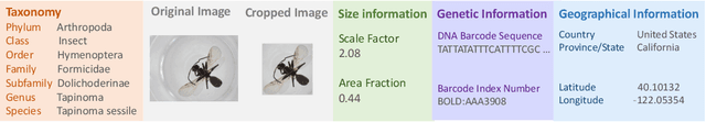 Figure 1 for BIOSCAN-5M: A Multimodal Dataset for Insect Biodiversity