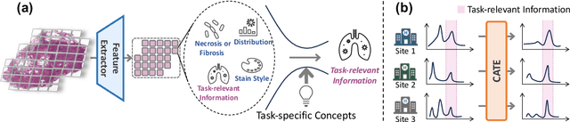 Figure 1 for Free Lunch in Pathology Foundation Model: Task-specific Model Adaptation with Concept-Guided Feature Enhancement