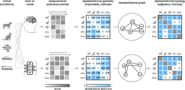 Figure 1 for The Topology and Geometry of Neural Representations