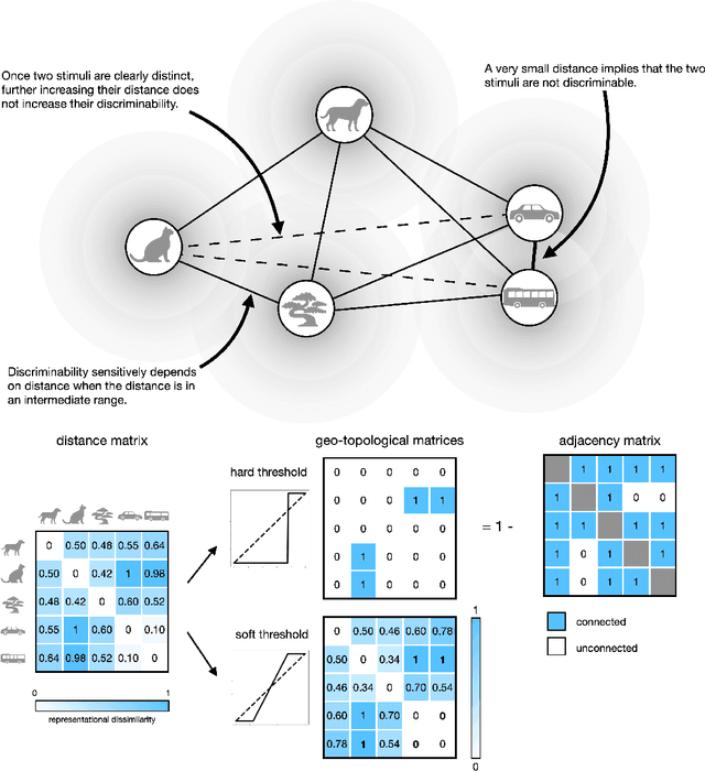 Figure 2 for The Topology and Geometry of Neural Representations