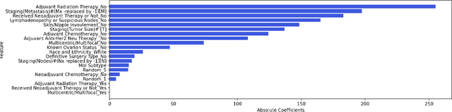 Figure 1 for Guiding Treatment Strategies: The Role of Adjuvant Anti-Her2 Neu Therapy and Skin/Nipple Involvement in Local Recurrence-Free Survival in Breast Cancer Patients