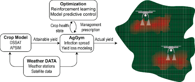 Figure 1 for AgGym: An agricultural biotic stress simulation environment for ultra-precision management planning