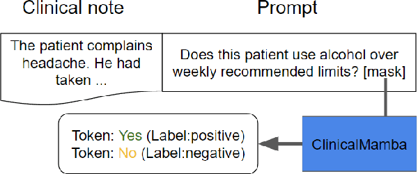 Figure 3 for ClinicalMamba: A Generative Clinical Language Model on Longitudinal Clinical Notes