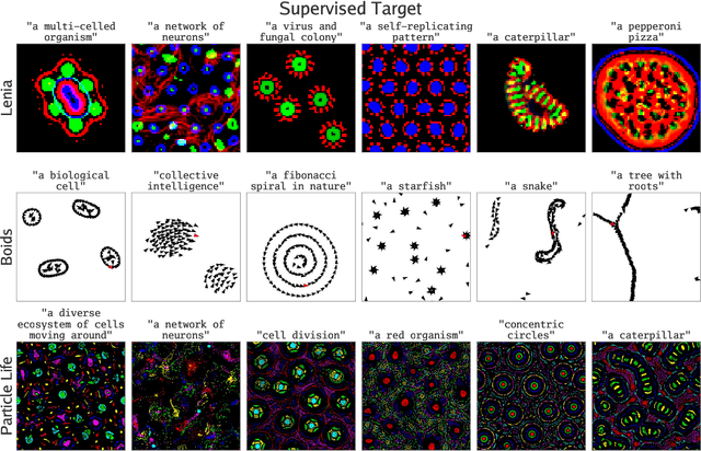 Figure 2 for Automating the Search for Artificial Life with Foundation Models