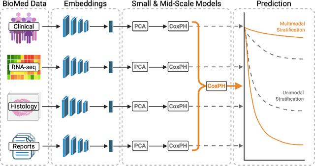 Figure 1 for Multimodal Survival Modeling in the Age of Foundation Models