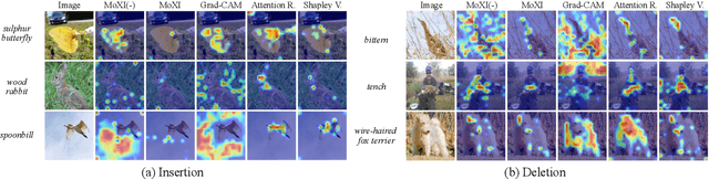 Figure 4 for Identifying Important Group of Pixels using Interactions