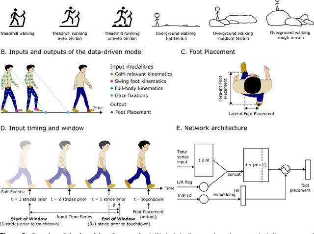 Figure 3 for Nonlinear action prediction models reveal multi-timescale locomotor control