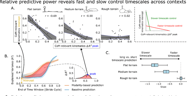 Figure 4 for Nonlinear action prediction models reveal multi-timescale locomotor control