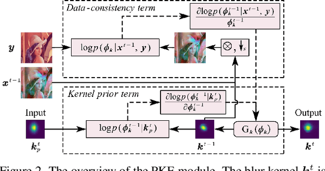 Figure 3 for A Dynamic Kernel Prior Model for Unsupervised Blind Image Super-Resolution