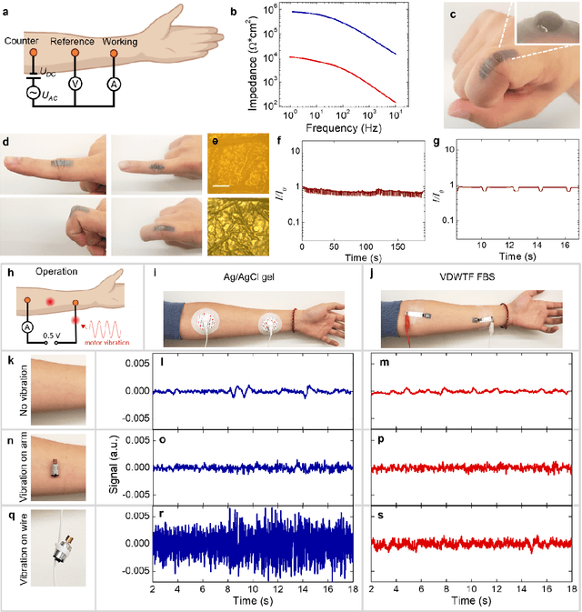 Figure 2 for Electrically functionalized body surface for deep-tissue bioelectrical recording