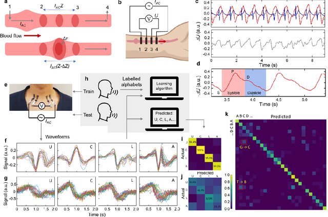 Figure 3 for Electrically functionalized body surface for deep-tissue bioelectrical recording