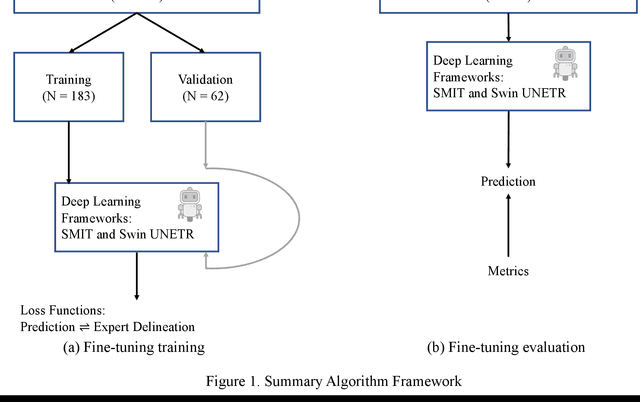 Figure 1 for Transformer-based segmentation of adnexal lesions and ovarian implants in CT images