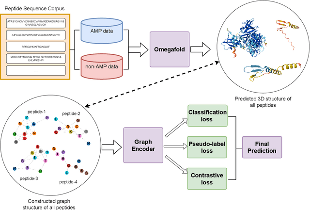 Figure 1 for SGAC: A Graph Neural Network Framework for Imbalanced and Structure-Aware AMP Classification