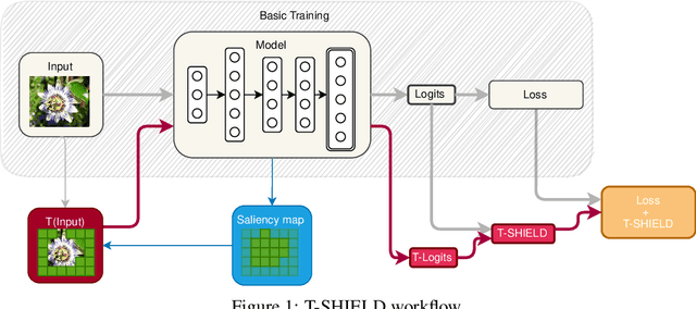 Figure 2 for SHIELD: A regularization technique for eXplainable Artificial Intelligence