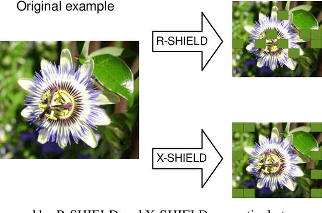 Figure 3 for SHIELD: A regularization technique for eXplainable Artificial Intelligence