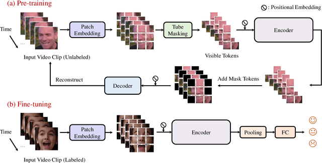 Figure 1 for SVFAP: Self-supervised Video Facial Affect Perceiver