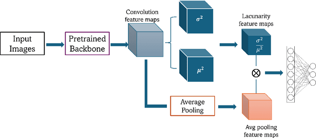 Figure 3 for Lacunarity Pooling Layers for Plant Image Classification using Texture Analysis