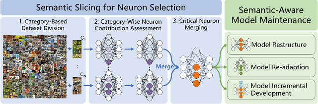 Figure 1 for NeuSemSlice: Towards Effective DNN Model Maintenance via Neuron-level Semantic Slicing