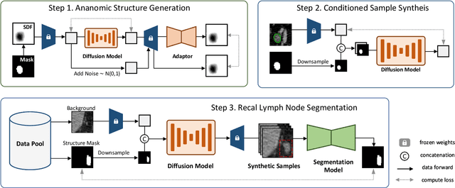 Figure 2 for LN-Gen: Rectal Lymph Nodes Generation via Anatomical Features