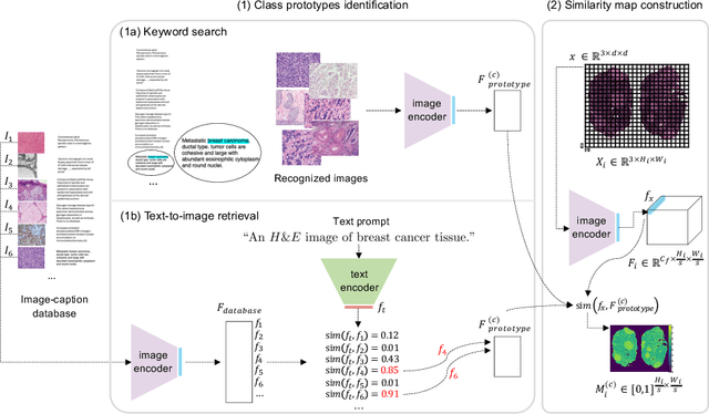 Figure 1 for Leveraging image captions for selective whole slide image annotation