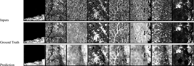 Figure 3 for QSpeckleFilter: a Quantum Machine Learning approach for SAR speckle filtering