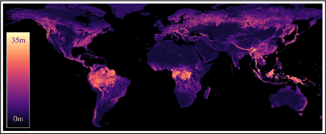 Figure 1 for Estimating Canopy Height at Scale