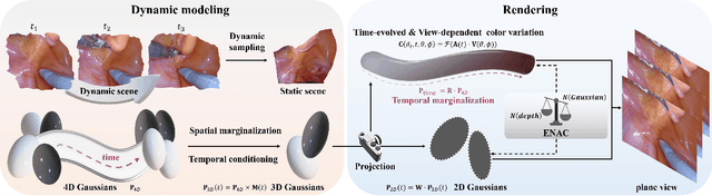 Figure 1 for Real-Time Spatio-Temporal Reconstruction of Dynamic Endoscopic Scenes with 4D Gaussian Splatting