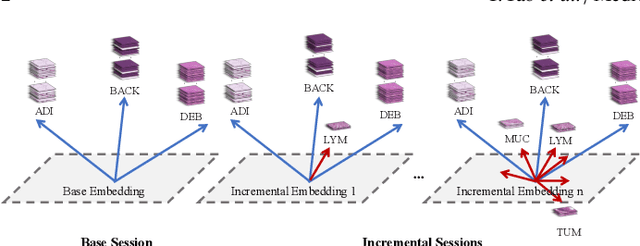 Figure 1 for From Uncertainty to Clarity: Uncertainty-Guided Class-Incremental Learning for Limited Biomedical Samples via Semantic Expansion