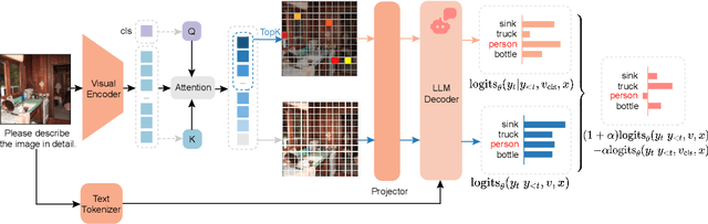 Figure 1 for DAMRO: Dive into the Attention Mechanism of LVLM to Reduce Object Hallucination