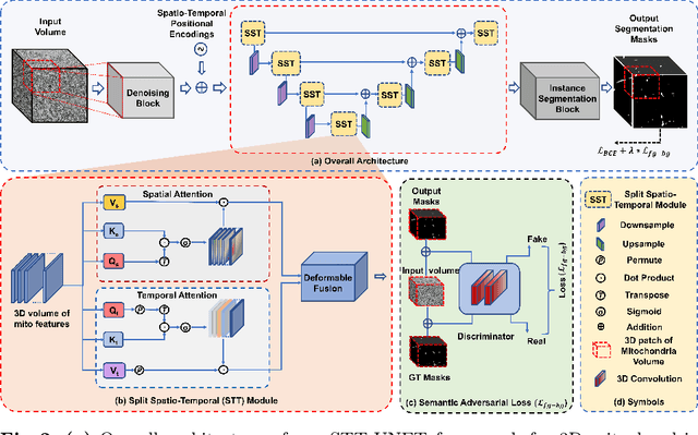 Figure 3 for 3D Mitochondria Instance Segmentation with Spatio-Temporal Transformers