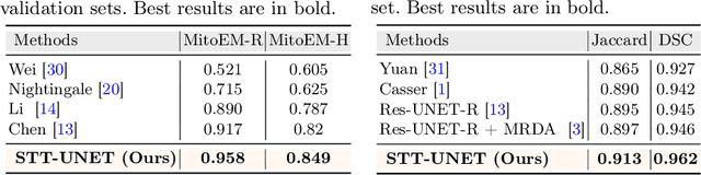 Figure 2 for 3D Mitochondria Instance Segmentation with Spatio-Temporal Transformers