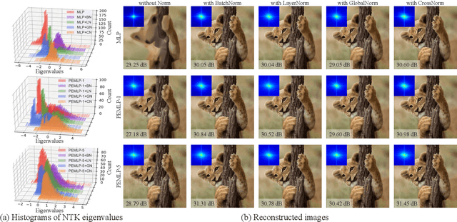 Figure 1 for Towards the Spectral bias Alleviation by Normalizations in Coordinate Networks