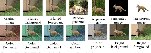 Figure 1 for XIMAGENET-12: An Explainable AI Benchmark Dataset for Model Robustness Evaluation