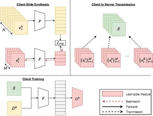 Figure 1 for FedWSIDD: Federated Whole Slide Image Classification via Dataset Distillation