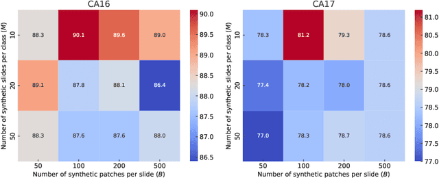 Figure 4 for FedWSIDD: Federated Whole Slide Image Classification via Dataset Distillation