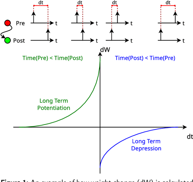 Figure 1 for Supervised learning of spatial features with STDP and homeostasis using Spiking Neural Networks on SpiNNaker