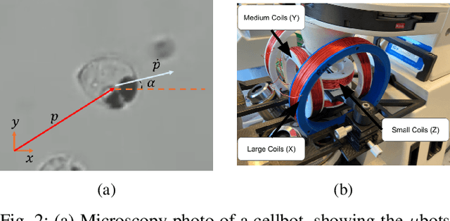 Figure 2 for Control of Microrobots Using Model Predictive Control and Gaussian Processes for Disturbance Estimation