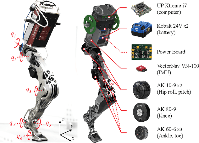 Figure 1 for StaccaToe: A Single-Leg Robot that Mimics the Human Leg and Toe