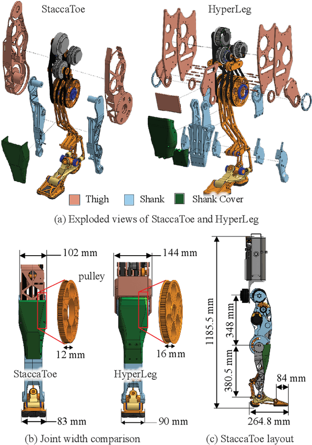 Figure 3 for StaccaToe: A Single-Leg Robot that Mimics the Human Leg and Toe