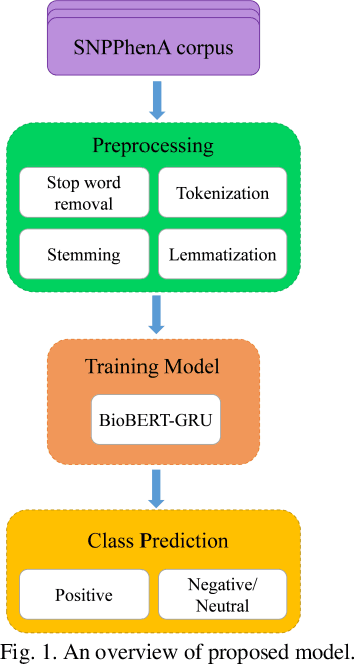 Figure 1 for BioBERT Based SNP-traits Associations Extraction from Biomedical Literature