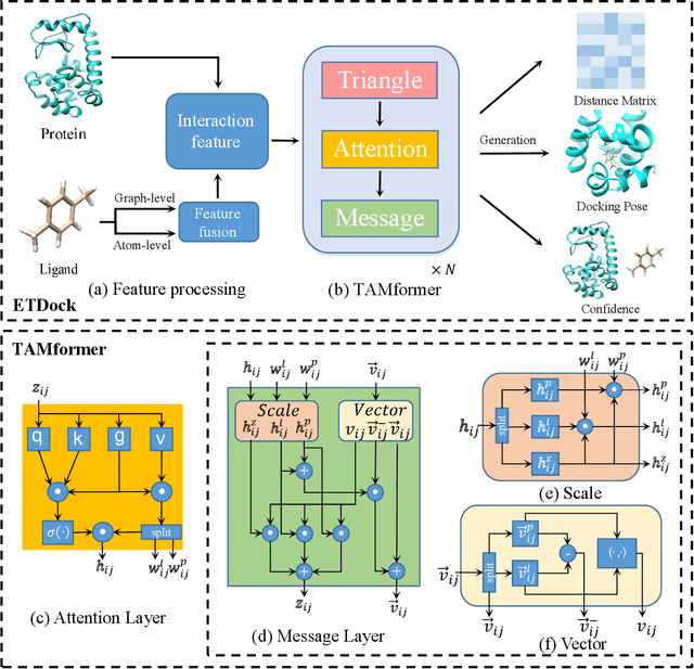 Figure 1 for ETDock: A Novel Equivariant Transformer for Protein-Ligand Docking