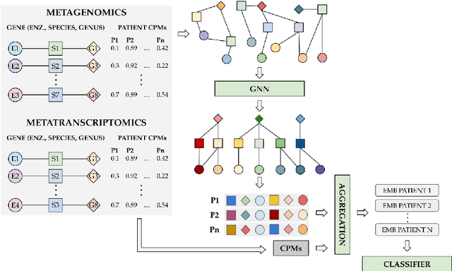 Figure 1 for Graph Neural Networks for Gut Microbiome Metaomic data: A preliminary work