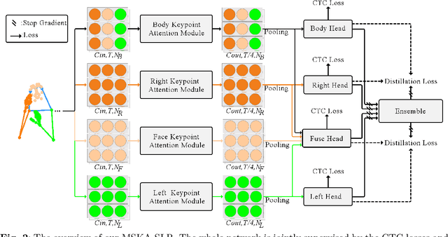Figure 3 for Multi-Stream Keypoint Attention Network for Sign Language Recognition and Translation