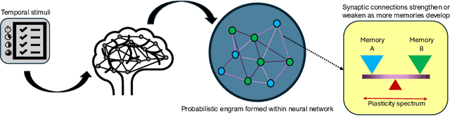 Figure 1 for Stochastic Engrams for Efficient Continual Learning with Binarized Neural Networks