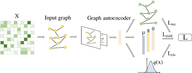 Figure 2 for Single-cell Curriculum Learning-based Deep Graph Embedding Clustering