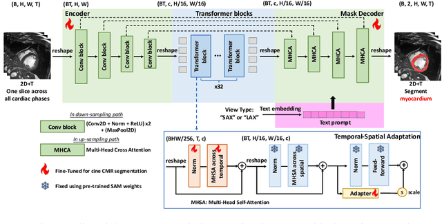Figure 1 for Cardiac Magnetic Resonance 2D+T Short- and Long-axis Segmentation via Spatio-temporal SAM Adaptation