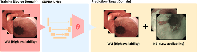 Figure 3 for SUPRA: Superpixel Guided Loss for Improved Multi-modal Segmentation in Endoscopy