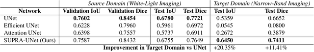 Figure 2 for SUPRA: Superpixel Guided Loss for Improved Multi-modal Segmentation in Endoscopy